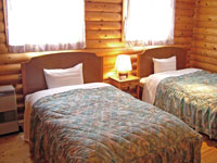 Western style room photo