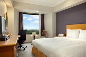 Western style room photo