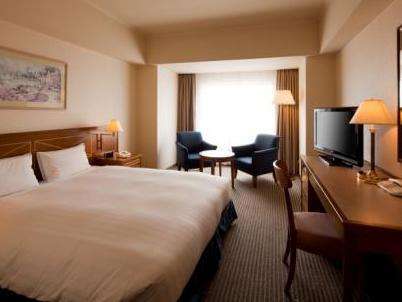 Western style room photo