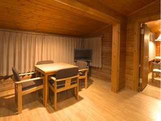 Western style room photo