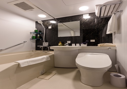 Western style room photo